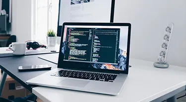 Custom Software Development Services in Kerala